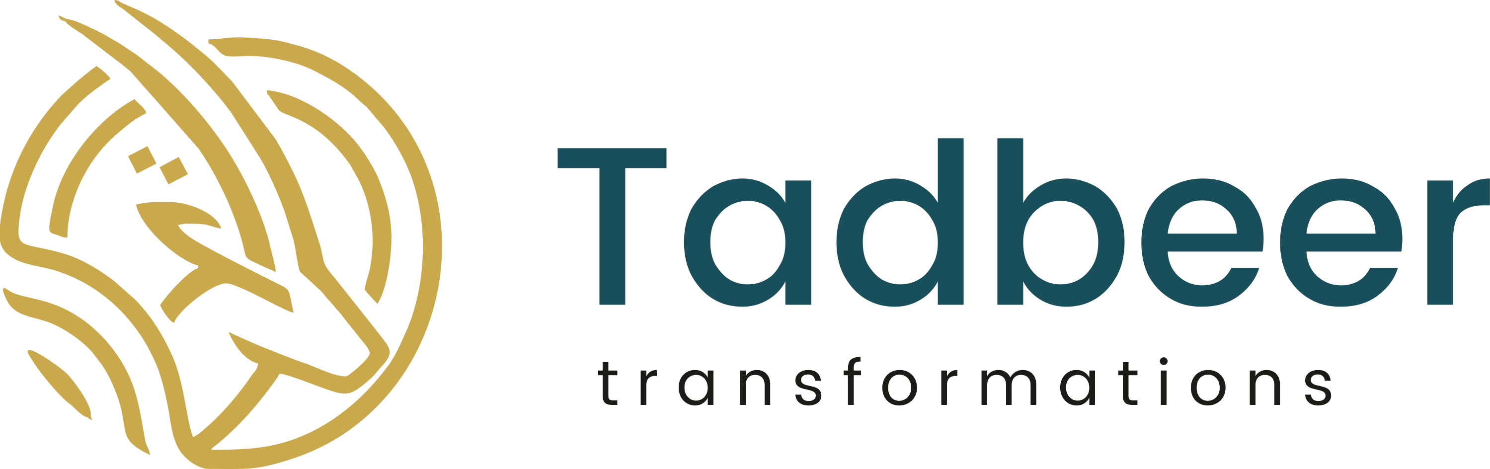Tadbeer Logo